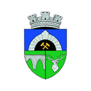 Anenii Noi