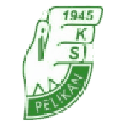 Pelikan Łowicz