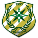 Samambaia
