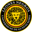 Leones Negros