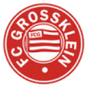 Grossklein