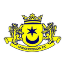 Moneyfields W