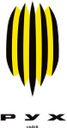 Rukh Vynnyky II