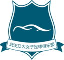Wuhan Jiangda W