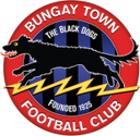 Bungay Town
