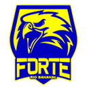 Forte FC