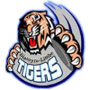 Mighty Tigers