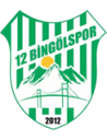 12 Bingölspor