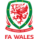 Wales U21