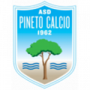 Pineto